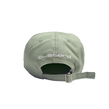 Aloe Cotton 6 Panel Initial Cap